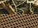 Realtree Max 7/ Buck