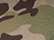 Multicam Green